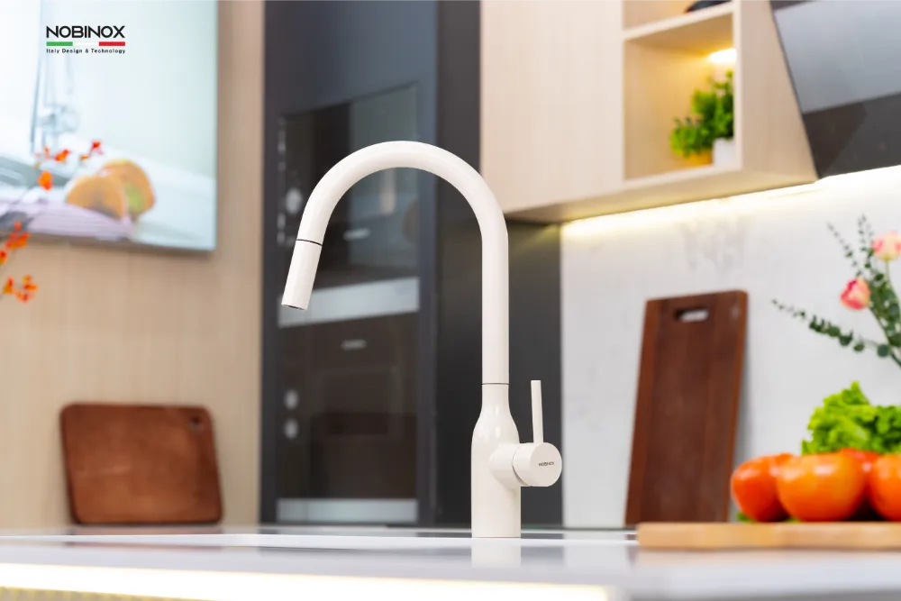 Vòi bếp AQUA NX661B dây rút nóng lạnh