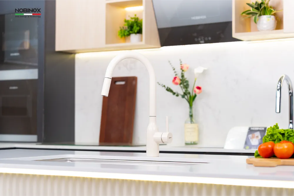 Vòi bếp AQUA NX661B inox 304 
