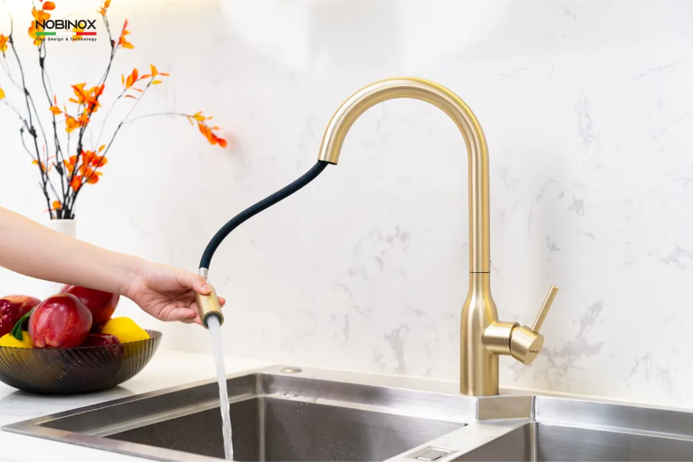 Vòi bếp AQUA NX663V dây rút nóng lạnh