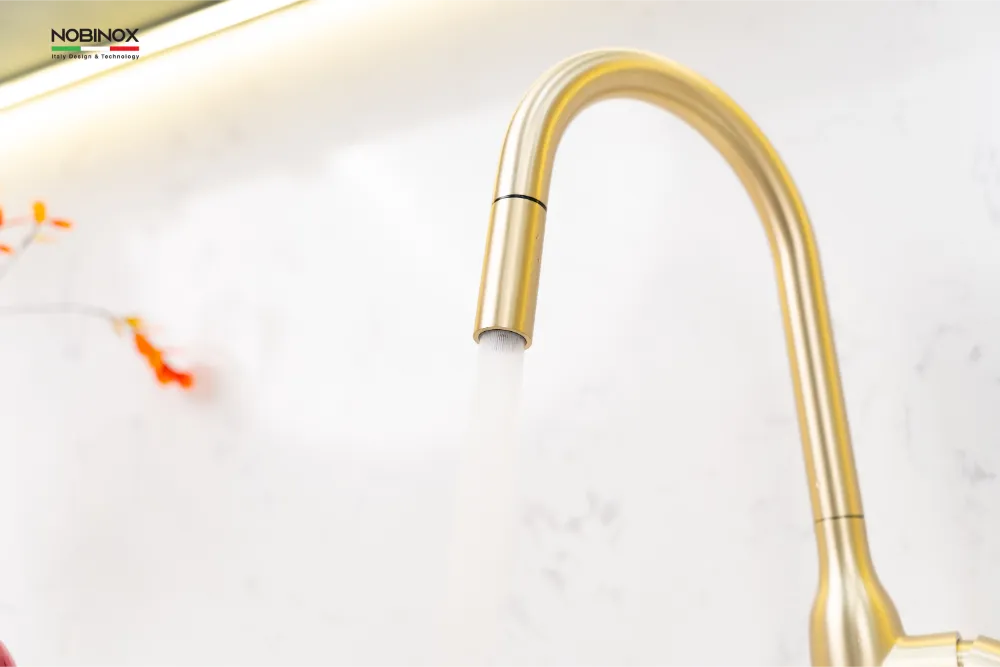 Vòi bếp AQUA NX663V cao 420mm