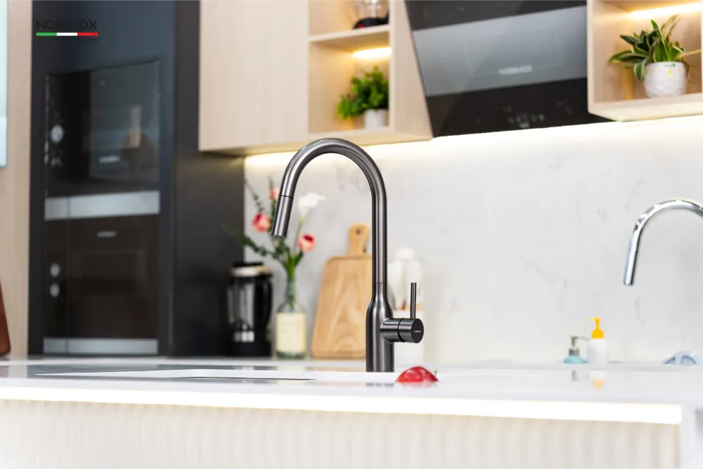 Vòi bếp AQUA NX664D dây rút nóng lạnh