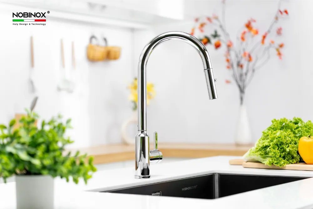 Vòi bếp IVY NX202 đầu xả 2 chế độ.
