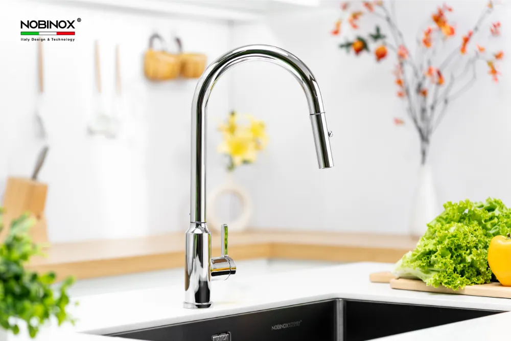 Vòi bếp IVY NX202 