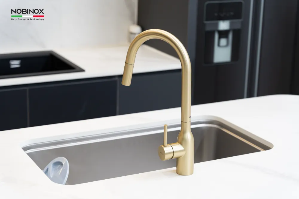 Vòi bếp AQUA NX663V cao cấp