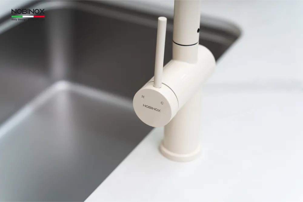 Vòi bếp BIANCO NX602 cần cứng 